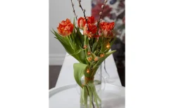 Butterfly Dew Drop Batteridriven Ljusslinga