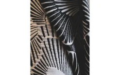 Juni Takskärm 40cm Svart AWARE