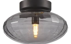 Mesh Plafond Ø20cm Svart/Smoke