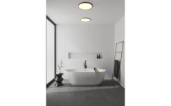 Oja Plafond 42cm DIM LED 2700K 24W Natur IP54