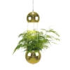 Planter Mini Fönsterlampa 18cm E14 Mässing