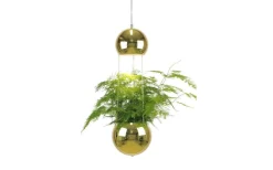 Planter Mini Fönsterlampa 18cm E14 Mässing