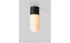 Zen Taklampa Badrum IP44 Svart/Opal