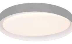 Zeta Plafond LED grå/vit